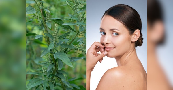 Bathua Benefits: सेब की तरह लाल हो जाएंगे गाल, हफ्ते में एक बार खा लें बथुए का साग