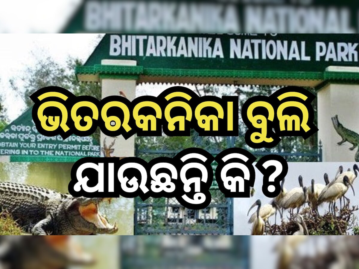 Bhitarkanika: ଆଜିଠୁ ପର୍ଯ୍ୟଟକଙ୍କ ପାଇଁ ଭିତରକନିକା ବନ୍ଦ, ଜାଣନ୍ତୁ ପୁଣି କେବେ ଖୋଲିବ ? 