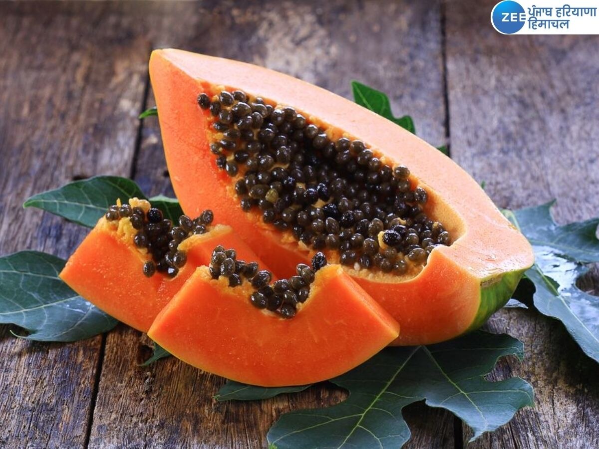 Papaya Benefits: ਸਰਦੀਆਂ 'ਚ ਕਿਉਂ ਖਾਣਾ ਚਾਹੀਦਾ ਹੈ ਪਪੀਤਾ, ਜਾਣੋ ਇਸਦਾ ਕਾਰਨ ਅਤੇ ਹੈਰਾਨੀਜਨਕ ਫਾਇਦੇ 