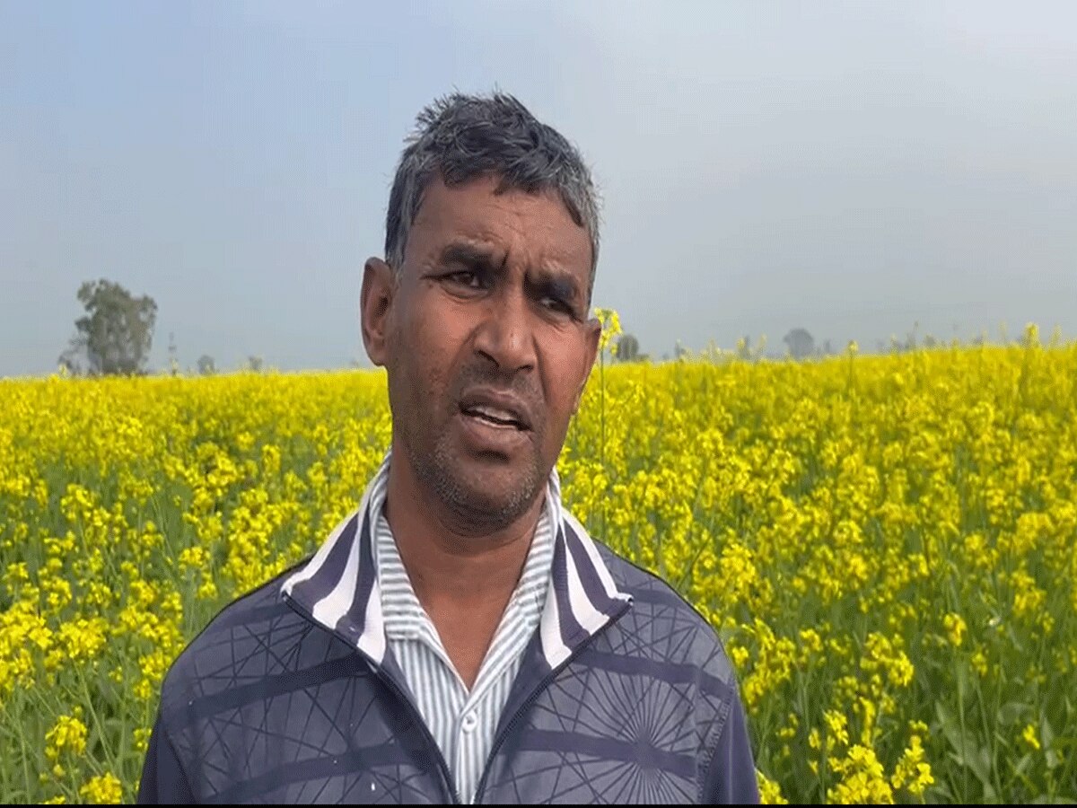 Haryana Farmar: हरियाणा के किसानों के साथ कदम से कदम मिलाकर खड़ी सरकार, किसान बोले- हर साल हो रहा है मुनाफा