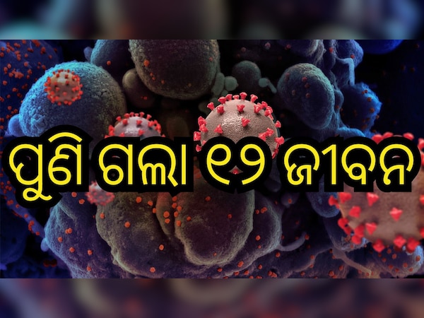 ସୌ(ସୋସିଆଲ ମିଡିଆ)