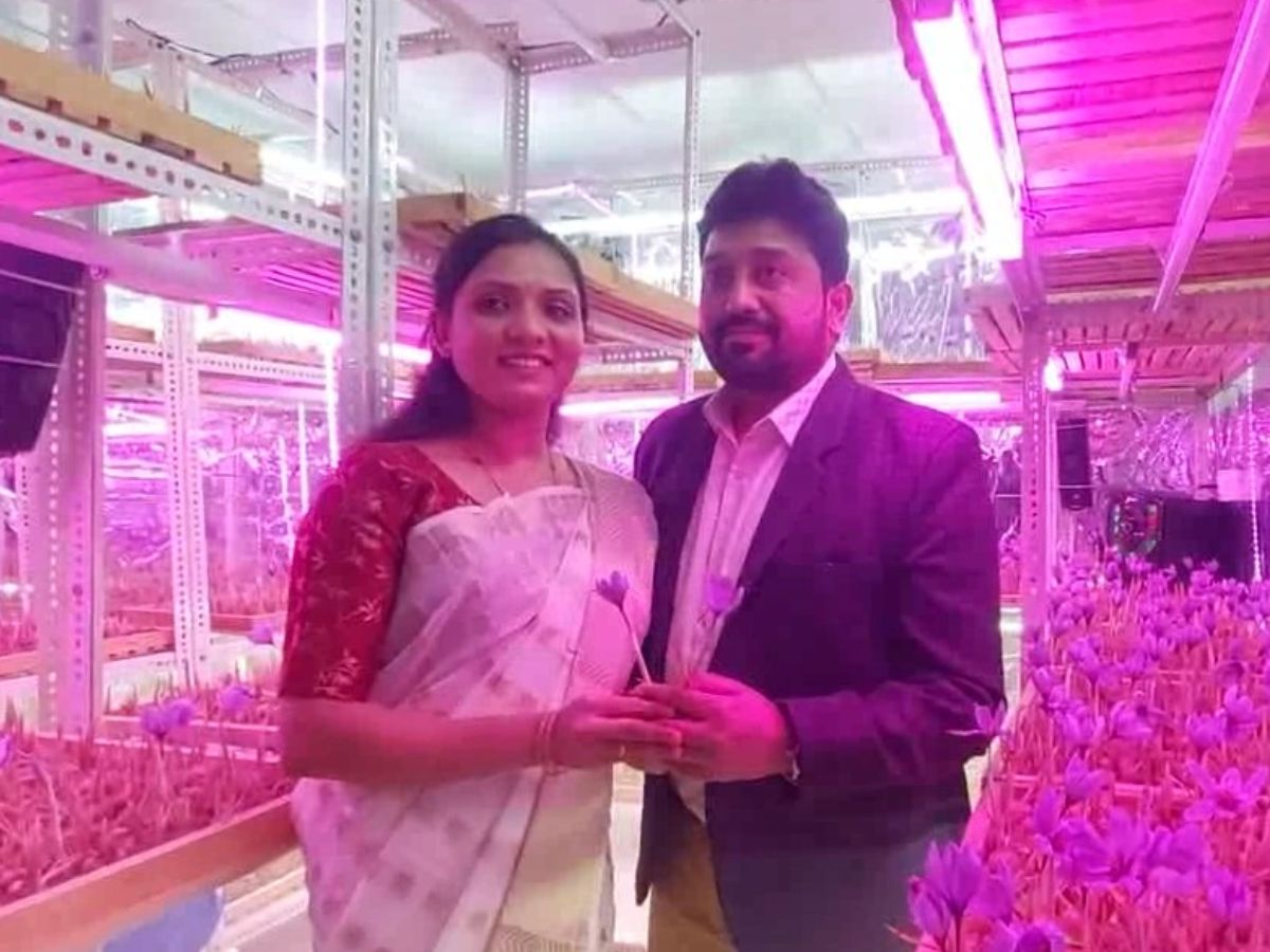 MP News: म्यूजिक की मदद से कमरे को कश्मीर बनाकर शुरू की केसर की खेती, अब है लाखों में कमाई MP News: म्यूजिक की मदद से कमरे को कश्मीर बनाकर शुरू की केसर की खेती, अब है लाखों में कमाई