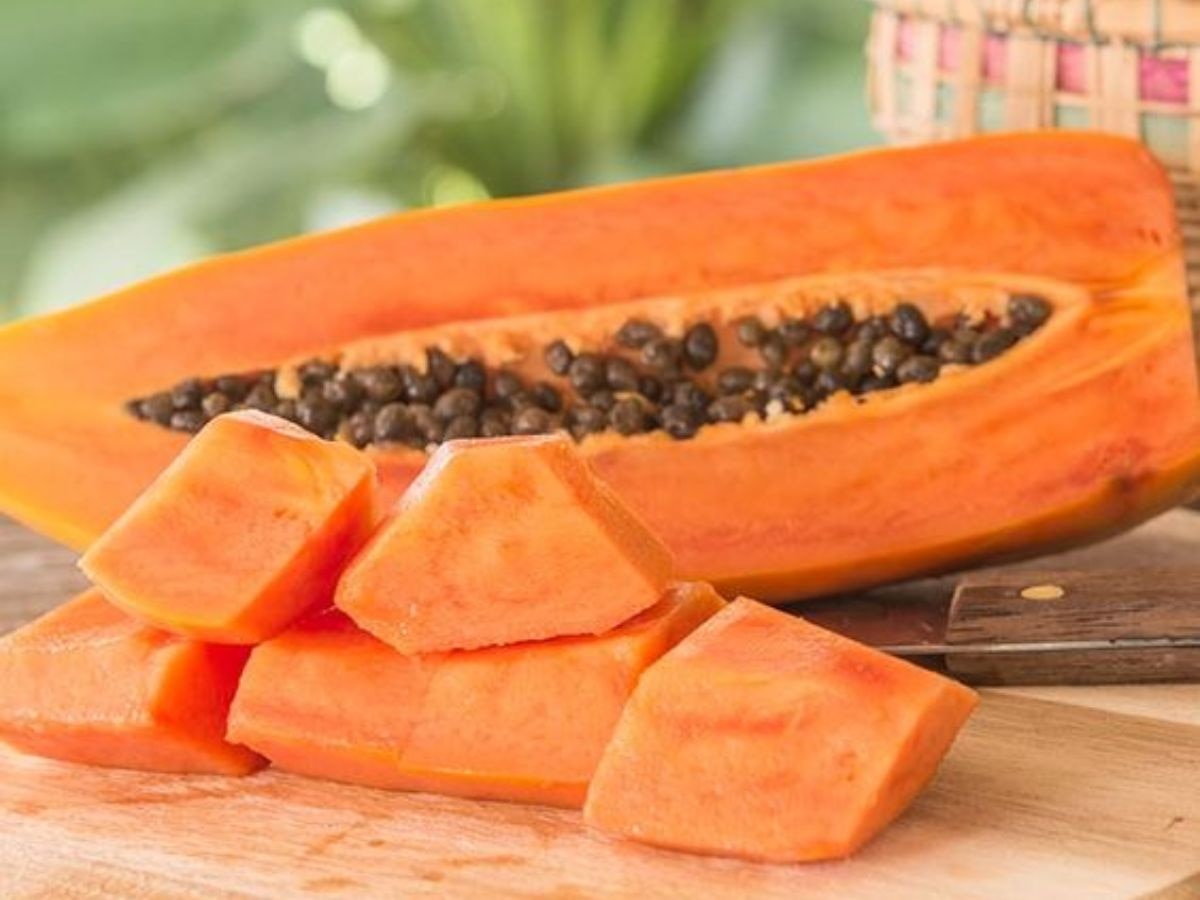 Papaya Benefits: सर्दियों में पपीता खाने के फायदे जान जाएंगे तो रोज खरीदकर खाएंगे