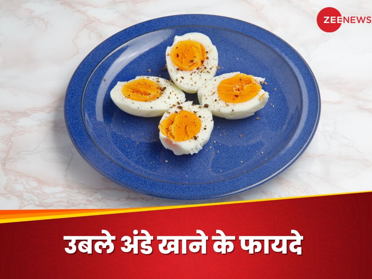 Egg Benefits: सिर्फ प्रोटीन बूस्टर ही नहीं, 5 कामल के फायदे जानकर आप रोज खाना शुरू कर देंगे उबले अंडे