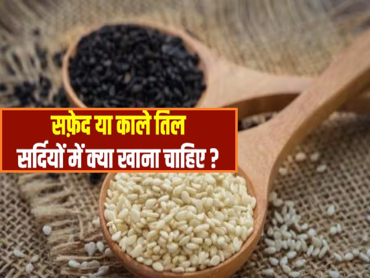 black or white sesame which one is more beneficial in winter know