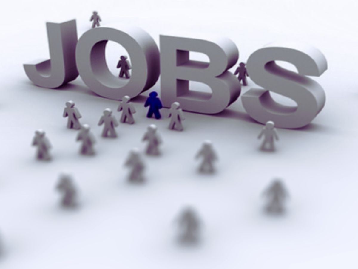 Rajasthan High Court recruitment 2024: 230 सिस्टम असिस्टेंट पदों के लिए करें आवेदन Rajasthan High Court recruitment 2024: 230 सिस्टम असिस्टेंट पदों के लिए करें आवेदन