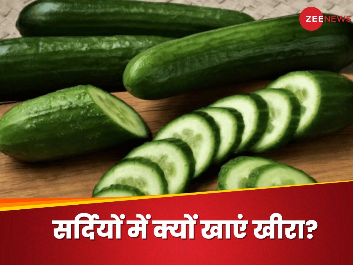 Cucumber: सर्दियों में खीरा खाना कर दिया है बंद? तो इन फायदों से रह जाएंगे महरूम