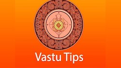 Vastu Tips: जादू टोना से बचने के अचूक उपाय, वास्तु के इन टिप्स से करें घर का बचाव
