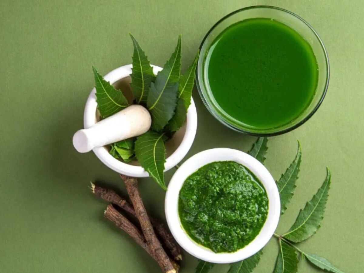 Benefits of Neem: सर्दियों में ऐसे करें नीम का इस्तेमाल, मुंहासें, जोड़ों का दर्द और डैंड्रफ समेत ये परेशानियां होंगी दूर 