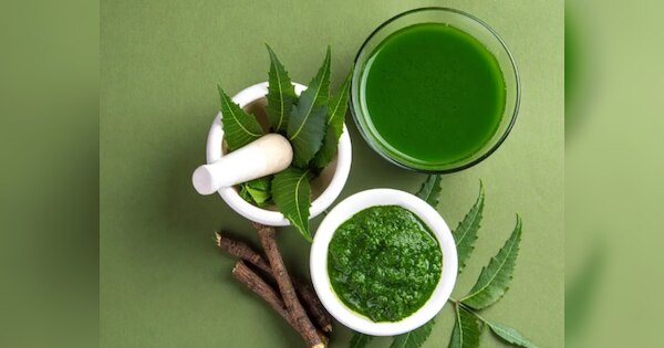 Benefits of Neem: सर्दियों में ऐसे करें नीम का इस्तेमाल, मुंहासें, जोड़ों का दर्द और डैंड्रफ समेत ये परेशानियां होंगी दूर