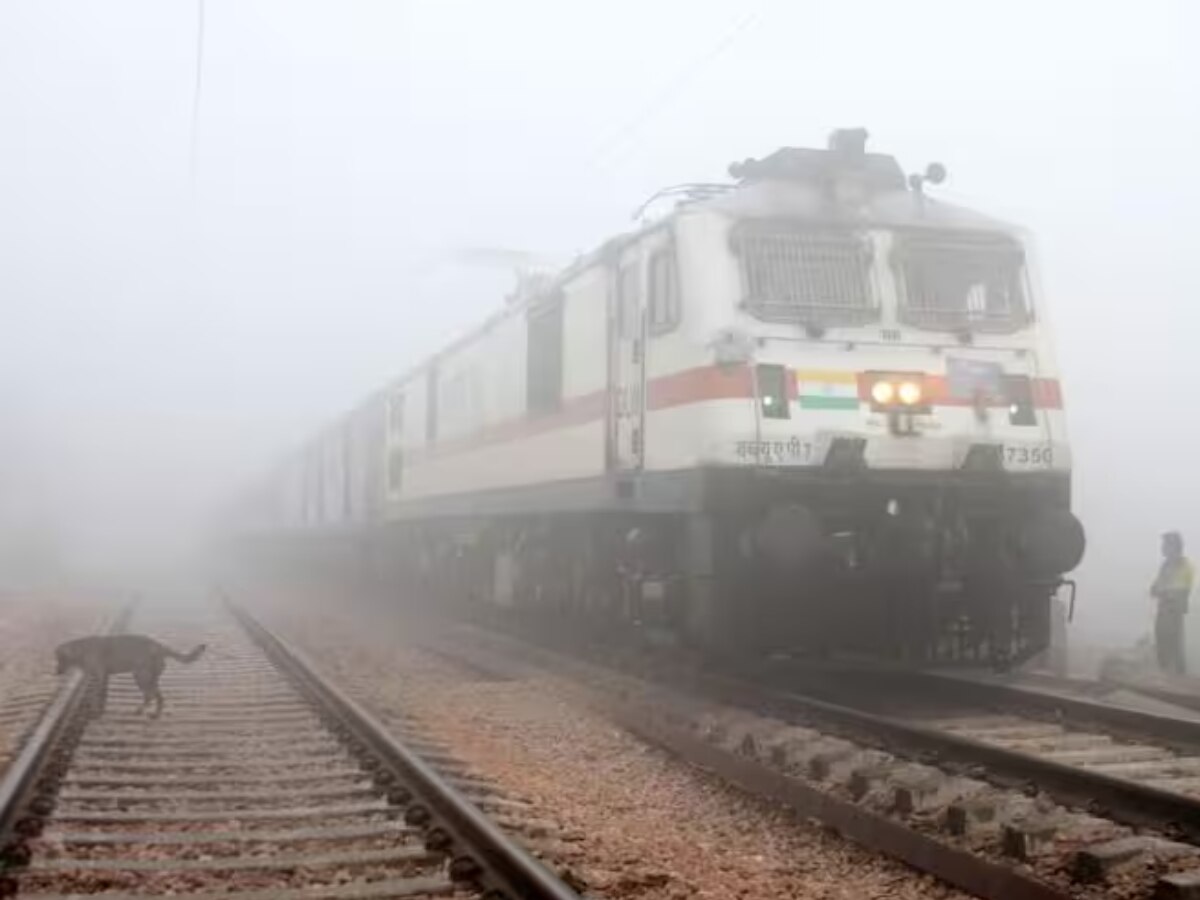 Indian Railway: दिल्ली आने वाली ये 20 ट्रेनें चल रहीं कई घंटे लेट, कोहरे की वजह से रुकी ट्रेनों की रफ्तार 
