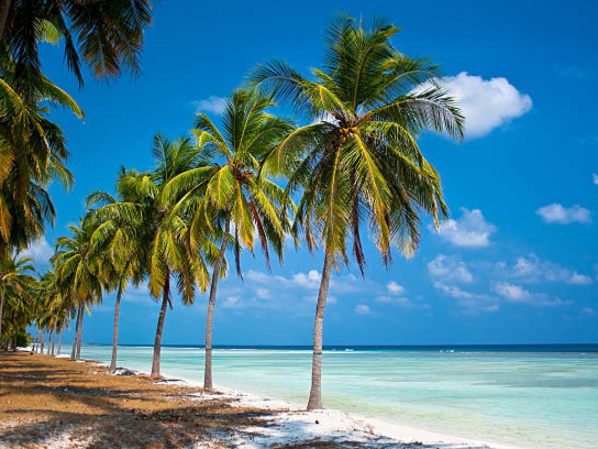 Lakshadweep Tourism: करा दिया है मालदीव का टिकट कैंसिल, उससे खूबसूरत भारत के पांच पर्यटन स्थल कर रहे हैं आपका इंतजार  