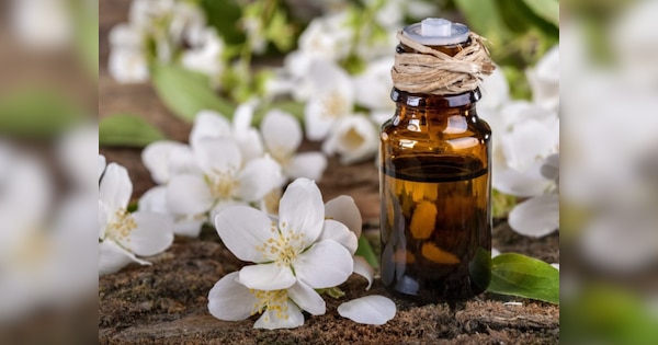 Jasmine Oil Benefits: इन 5 परेशानियों का रामबाण इलाज है ये तेल, मालिश करने से मिलते हैं कई फायदे