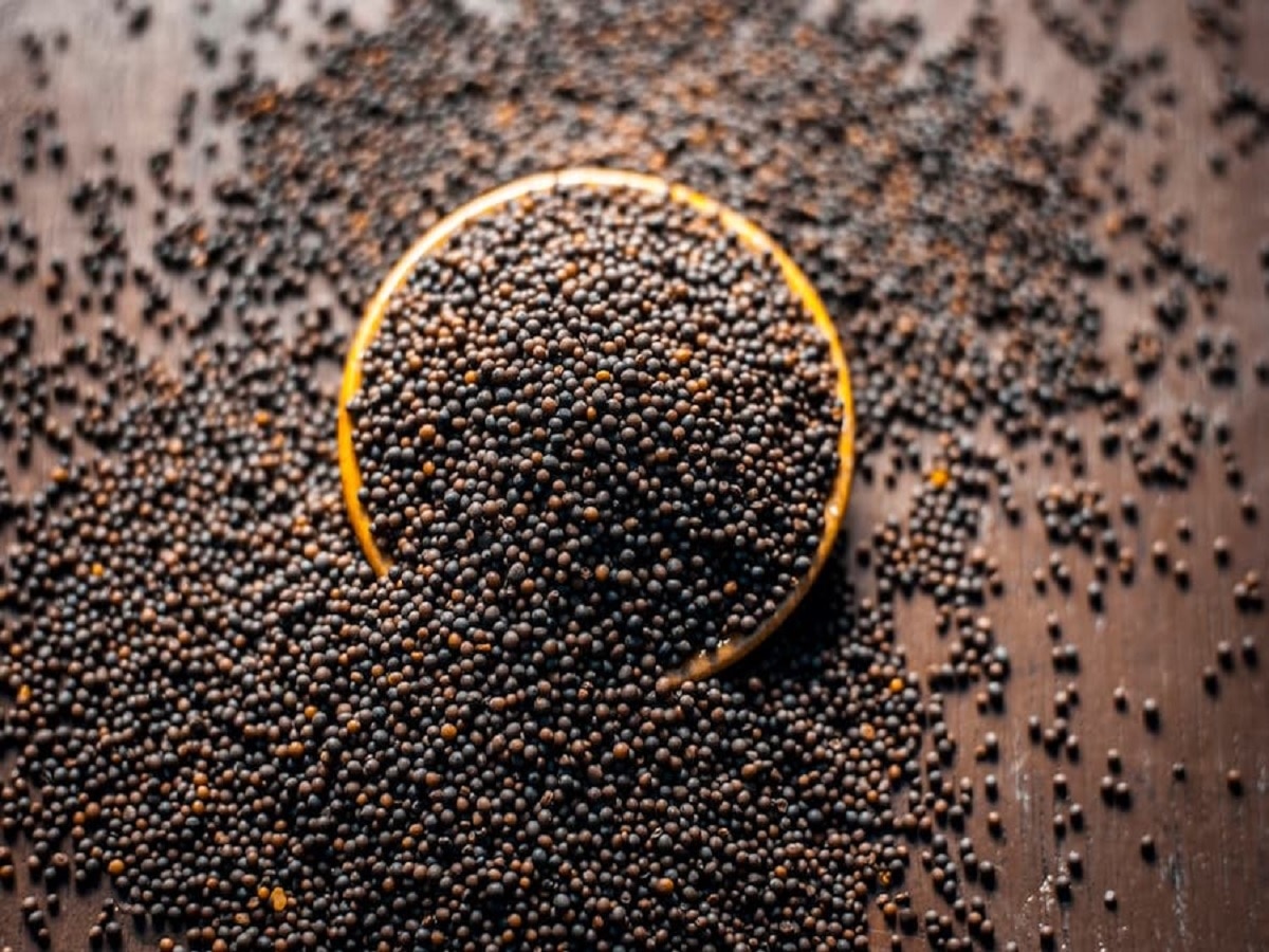 Mustard Seeds Benefits: स्वास्थ्य के साथ त्वचा के लिए भी फायदेमंद हैं सरसों के बीज, जानें इसके अन्य फायदे