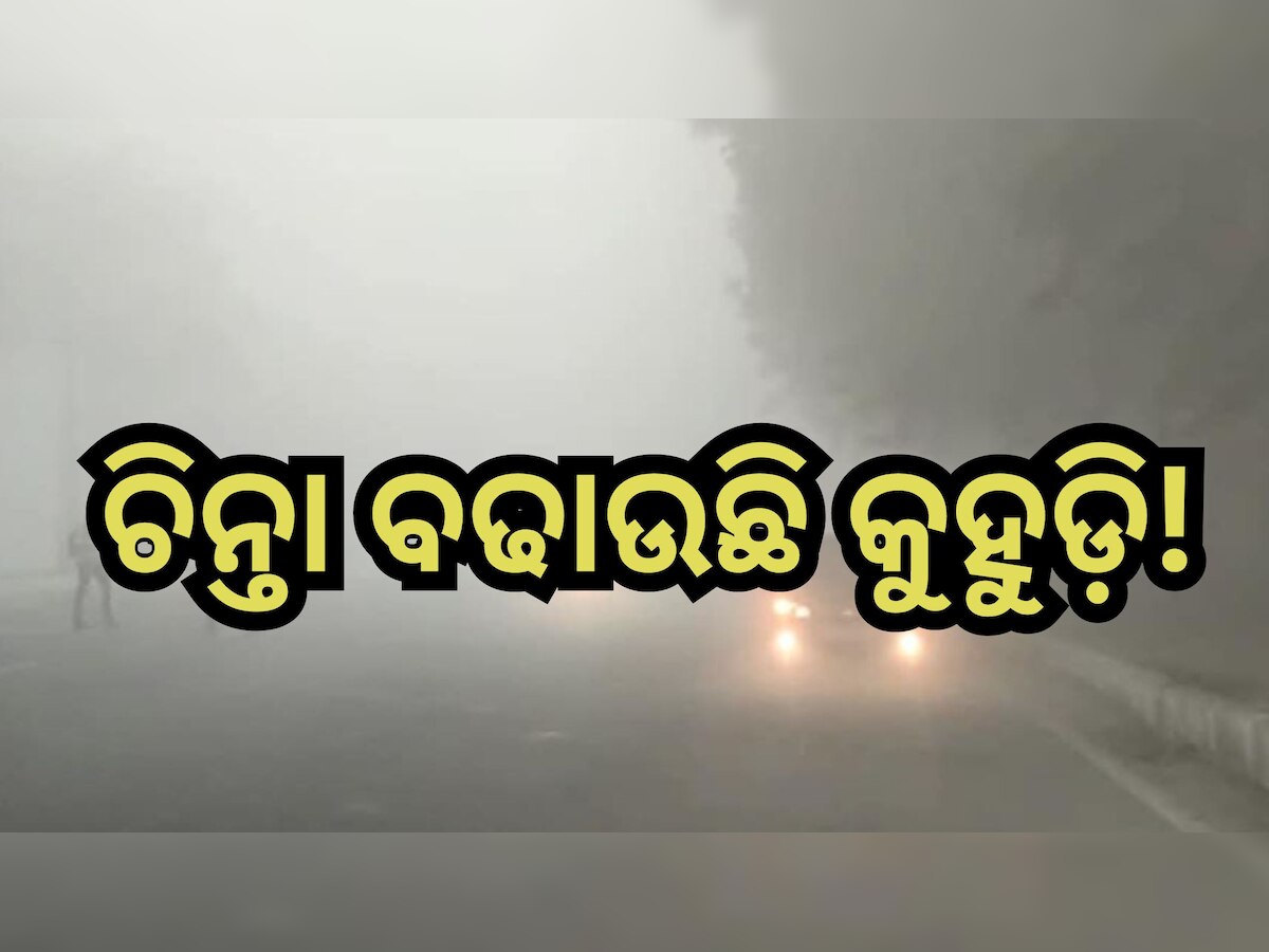 Weather Update: କୁହୁଡି଼ ପାଇଁ ଏହି ସବୁ ଜିଲ୍ଲାକୁ ୟେଲୋ ଓ୍ବାର୍ଣ୍ଣିଂ ଜାରି