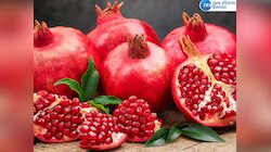 Pomegranate Benefits: ਰੋਜ਼ਾਨਾ ਸਵੇਰੇ ਖਾਓ ਇੱਕ ਅਨਾਰ, ਮਿਲਣਗੇ ਇਹ ਫਾਇਦੇ
