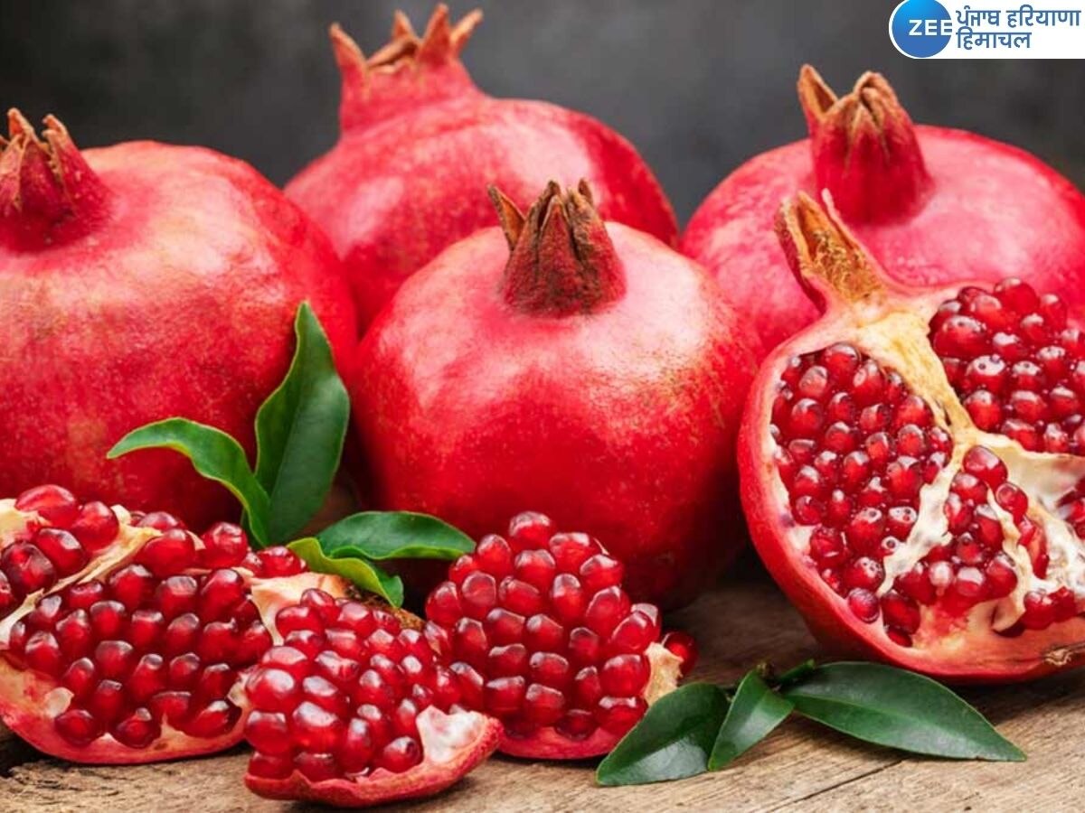 Pomegranate Benefits: ਰੋਜ਼ਾਨਾ ਸਵੇਰੇ ਖਾਓ ਇੱਕ ਅਨਾਰ, ਡਾਕਟਰ ਨੂੰ ਕਰੋ BYE- BYE, ਮਿਲਣਗੇ ਇਹ ਫਾਇਦੇ