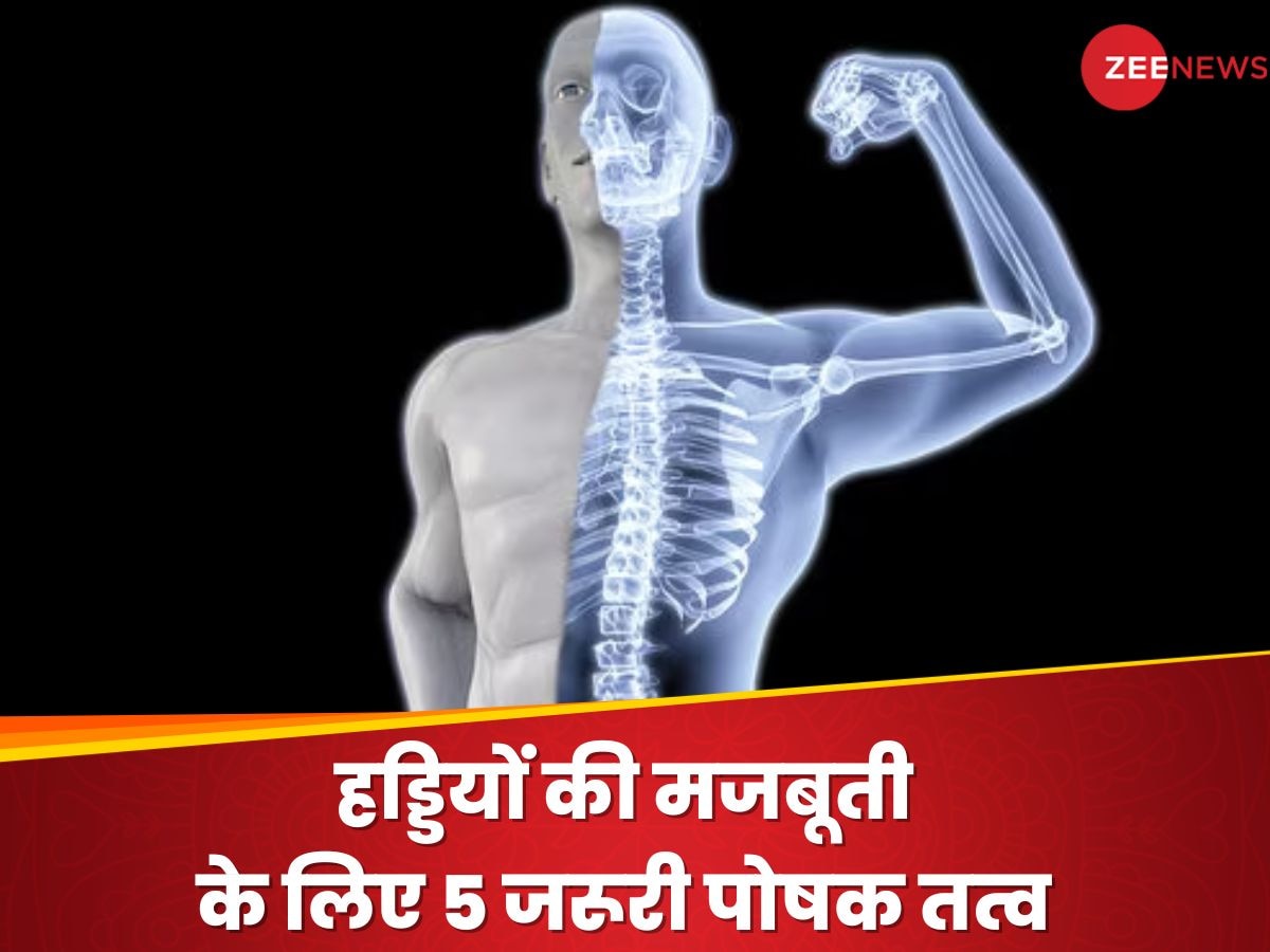 Nutrients for Strong Bones: मजबूत हड्डियों के लिए सिर्फ Vitamin-D ही काफी नहीं, ये 5 पोषक तत्व भी हैं जरूरी!