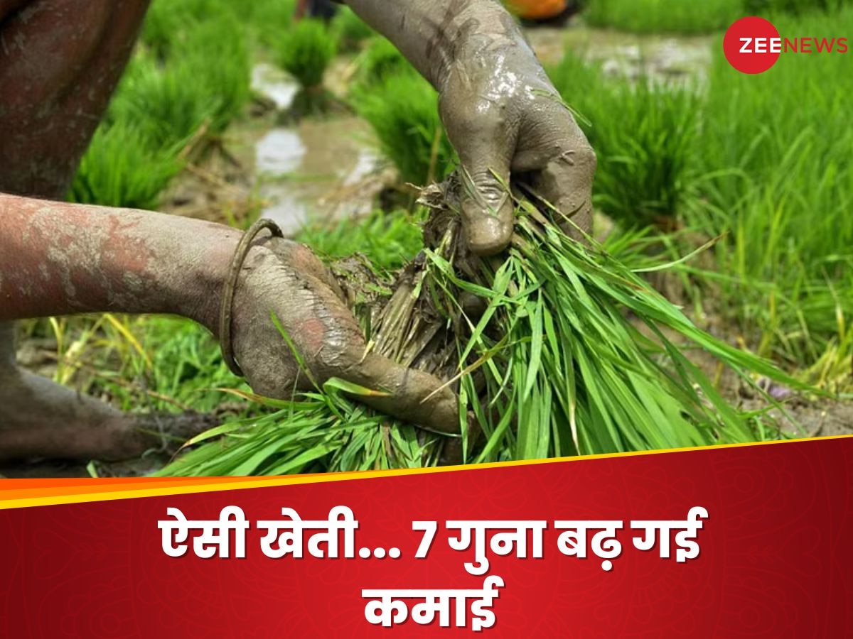 Success Story: मिजोरम के किसान ने की ऐसी खेती... 7 गुना तक बढ़ी कमाई; PM Modi भी हुए मुरीद