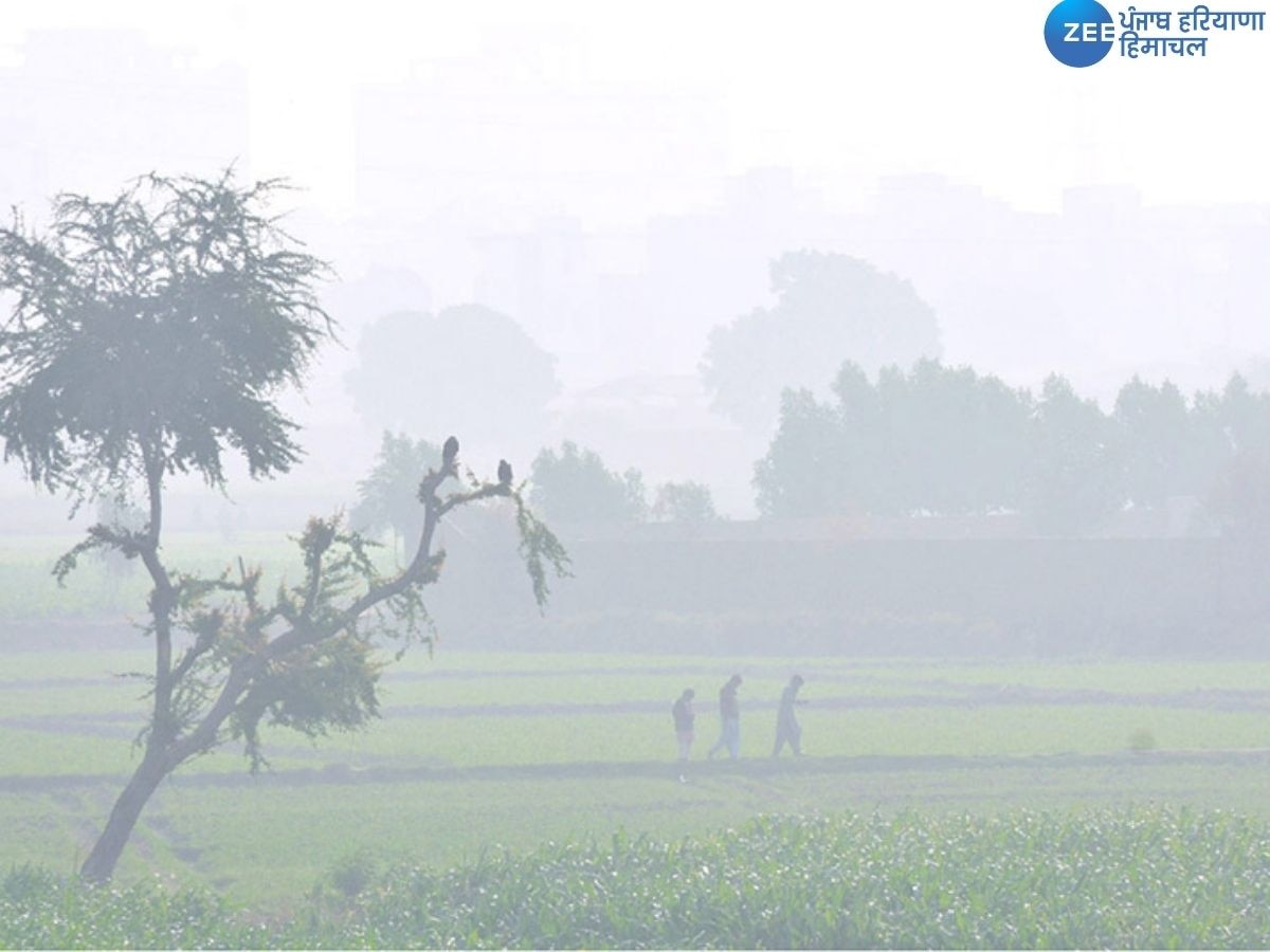 Punjab Weather Update: ਪੰਜਾਬ 'ਚ ਸੰਘਣੀ ਧੁੰਦ ਤੋਂ ਮਿਲੀ ਰਾਹਤ, ਅੱਜ ਧੁੱਪ ਦੇ ਆਸਾਰ, ਜਾਣੋ ਆਪਣੇ ਸ਼ਹਿਰ ਦਾ ਹਾਲ 