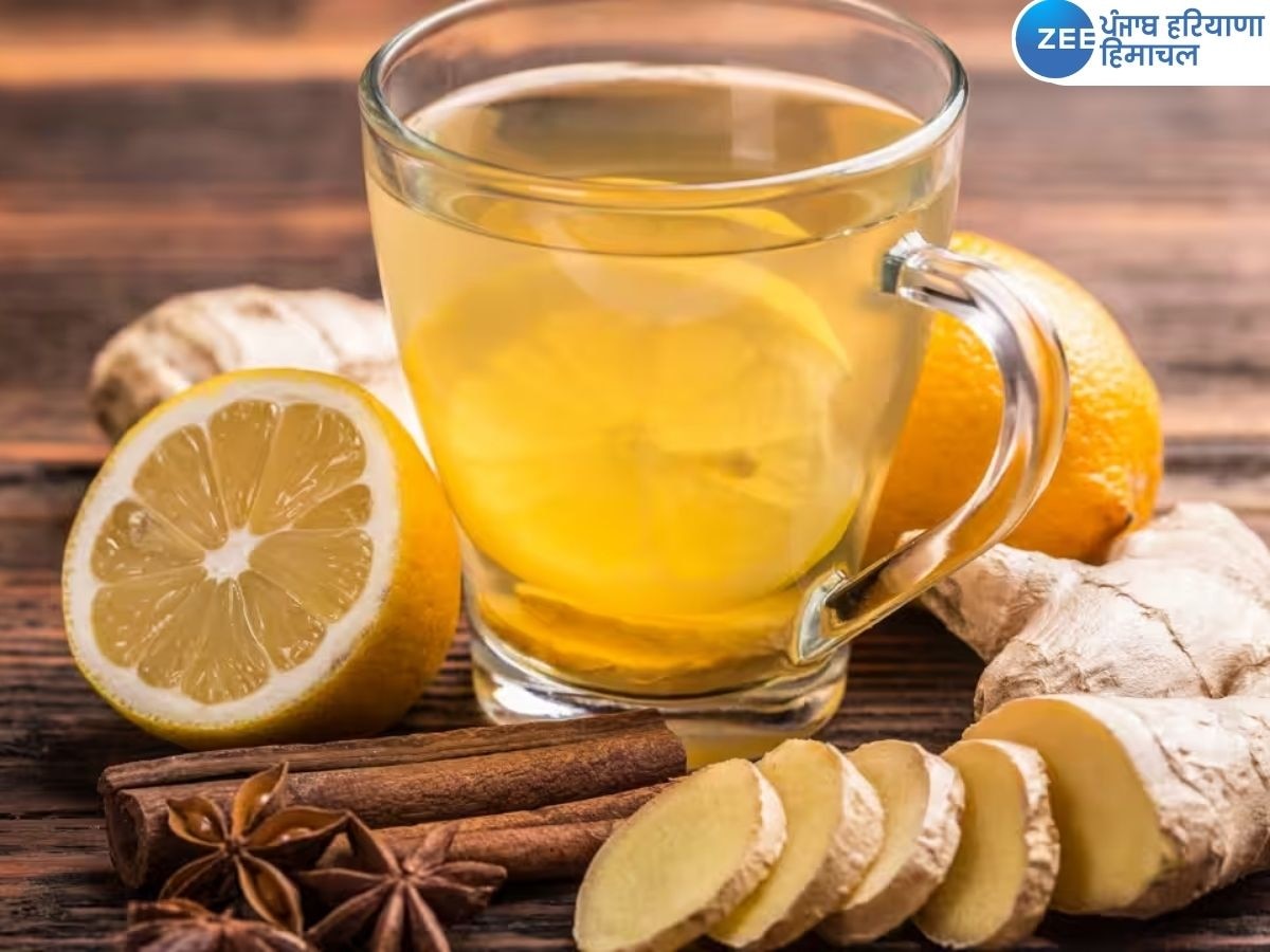 Ginger Tea Benefits In Winter: ਕਿਸੇ ਅੰਮ੍ਰਿਤ ਤੋਂ ਘੱਟ ਨਹੀਂ ਸਰਦੀਆਂ 'ਚ ਅਦਰਕ ਦੀ ਚਾਹ, ਮਿਲਣਗੇ ਇਹ ਫਾਇਦੇ