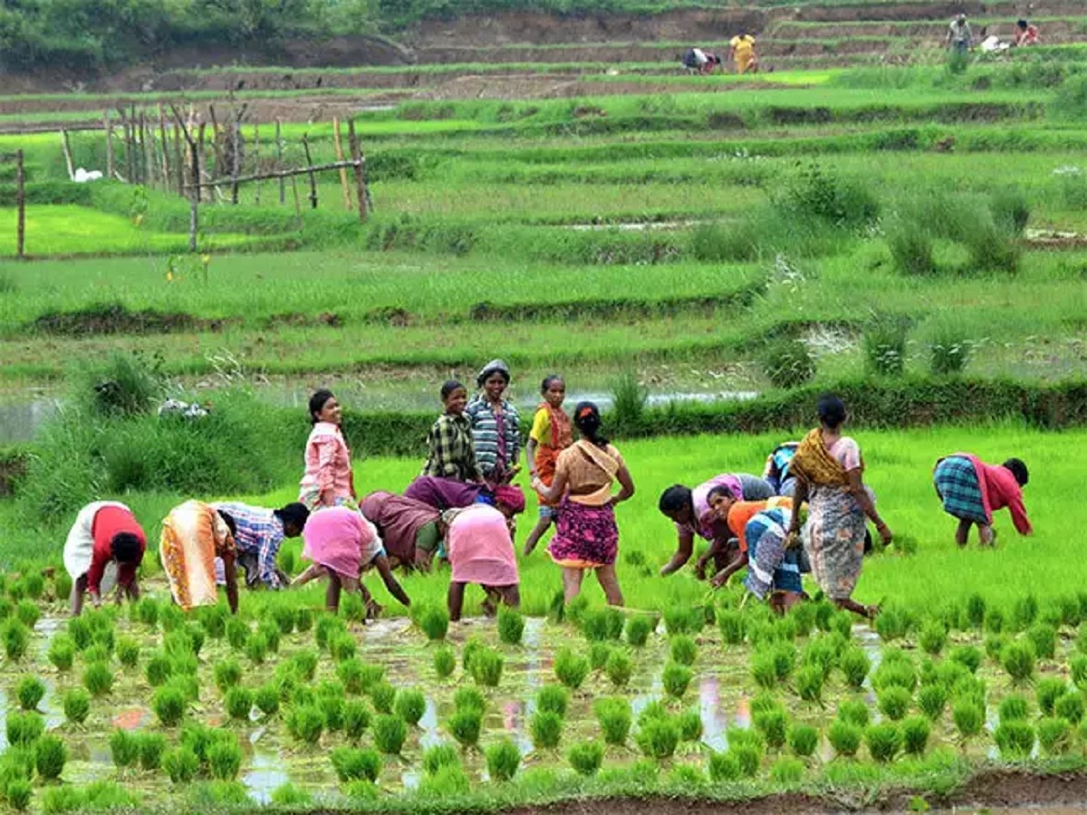 Interim Budget 2024: महिला किसानों के लिए अच्छी खबर, नकद राशि दोगुना करने की तैयारी में सरकार  