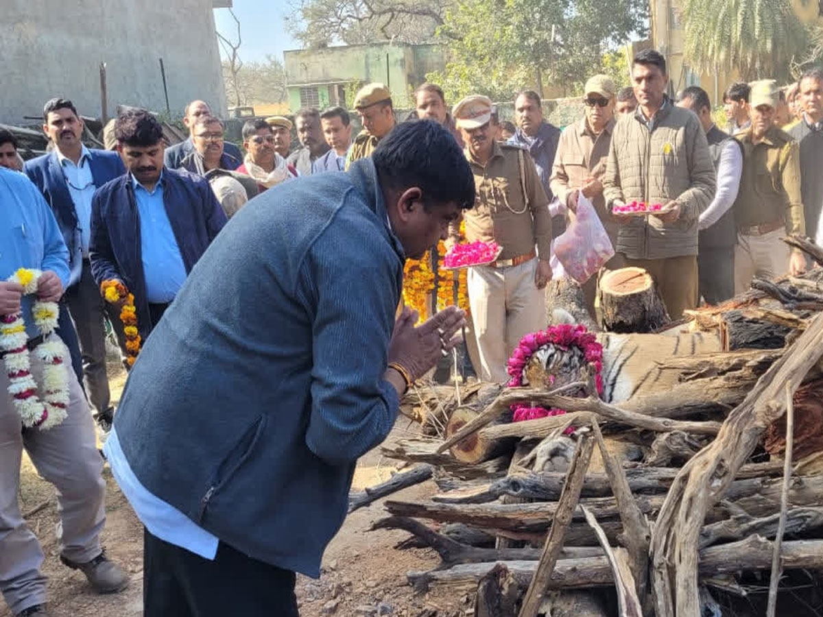 सरिस्का में राजमाता के नाम से मशहूर बाघिन एसटी-2 ने दुनिया को कहा अलविदा, वन मंत्री संजय शर्मा ने दी श्रद्धांजलि