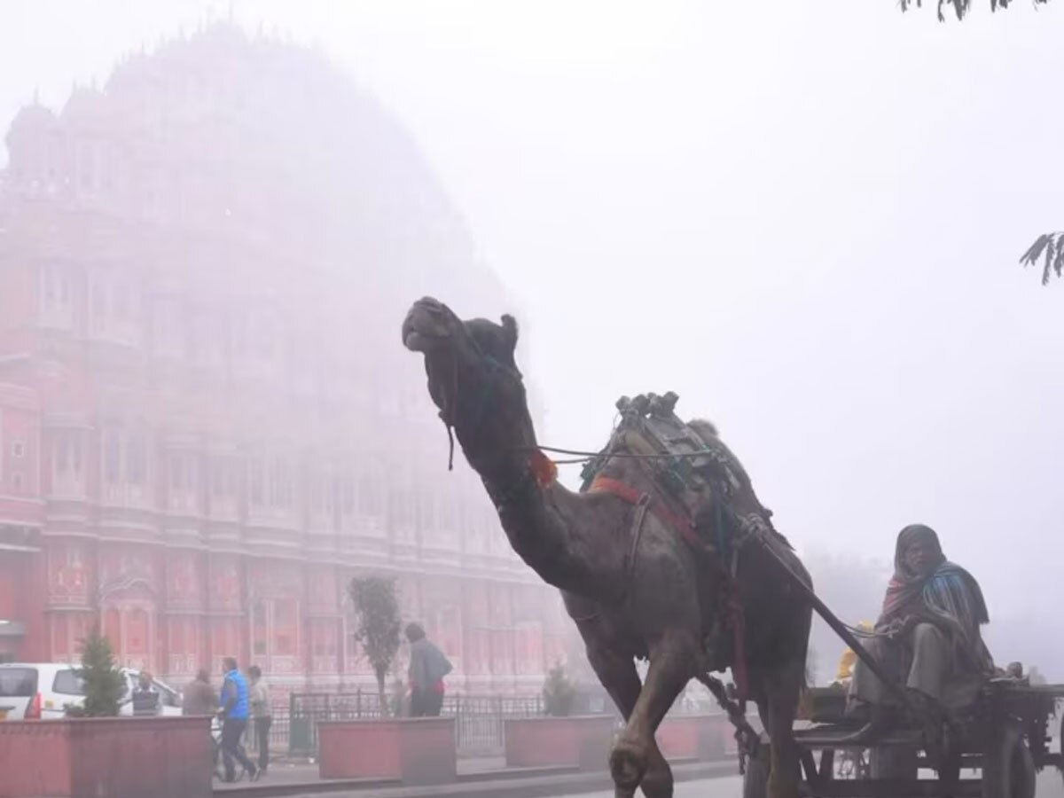 Rajasthan Weather Update: कोहरे की चादर से लिपटा पूरा राजस्थान, इन जिलों में शीतलहर का यलो अलर्ट जारी 