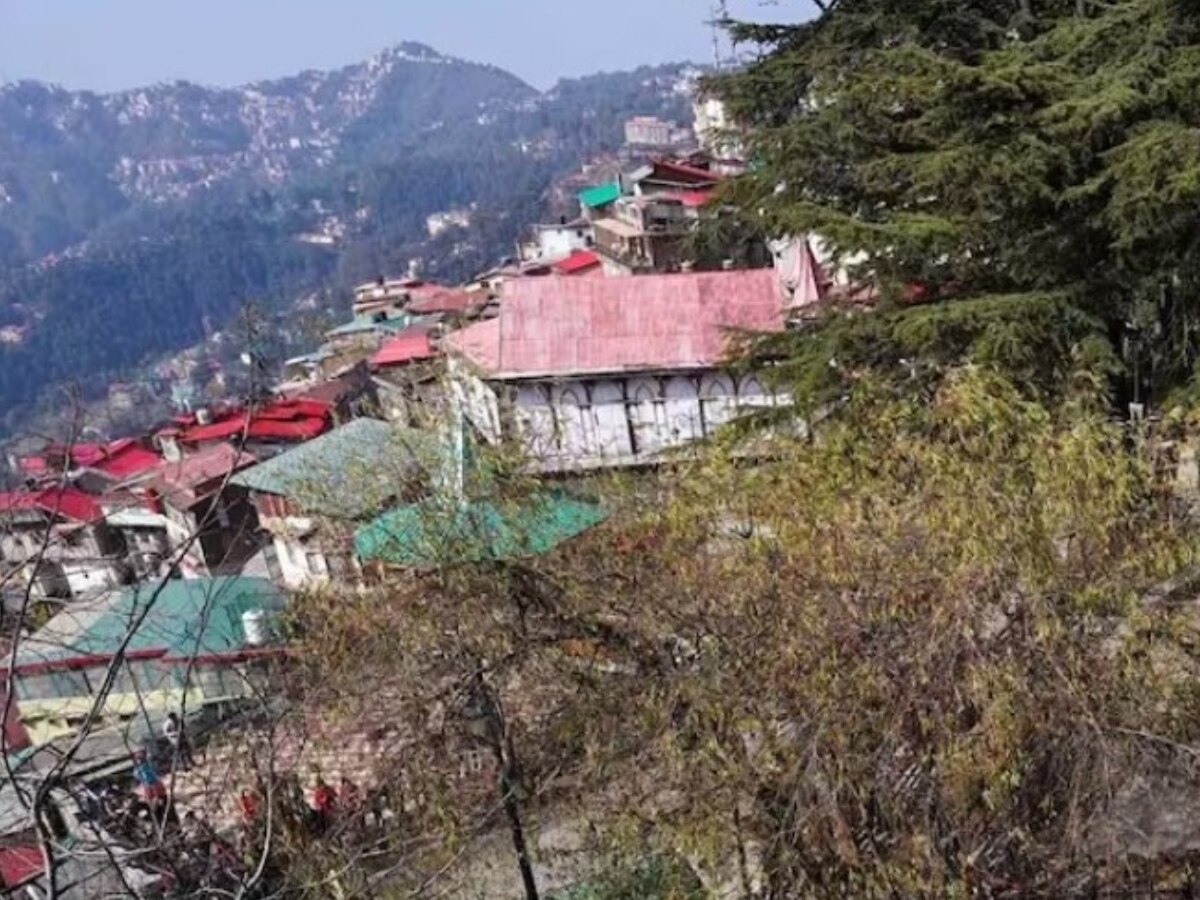 Himachal News: हिमाचल में बर्फबारी नहीं होने से बागवान परेशान, पर्यटक भी नजर आए उदास!