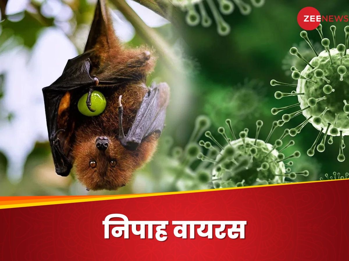 Nipah Virus Vaccine: निपाह वायरस की वैक्सीन का ह्यूमन ट्रायल शुरू, जगी आशा की एक नई किरण