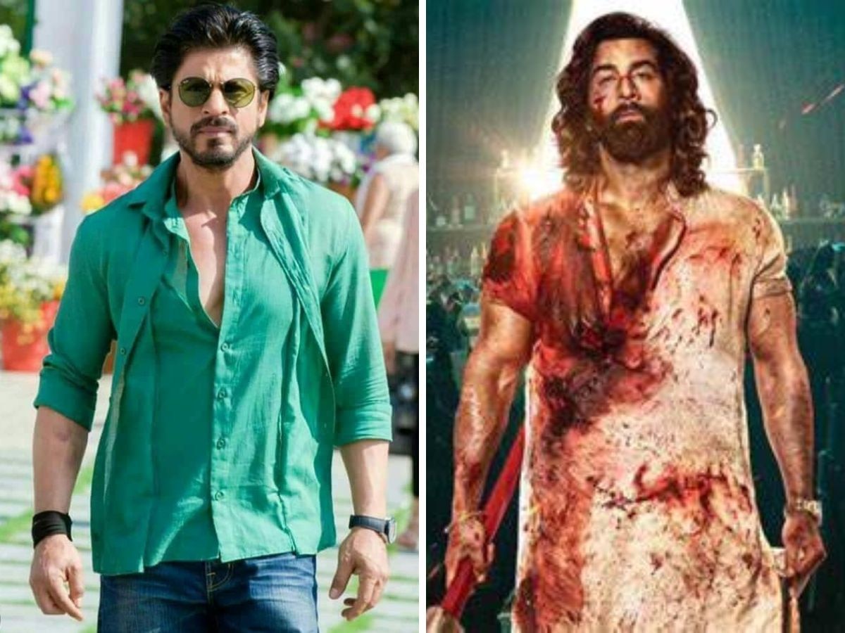 Ranbir Kapoor की 'एनिमल' पर Shah Rukh Khan ने ली चुटकी!