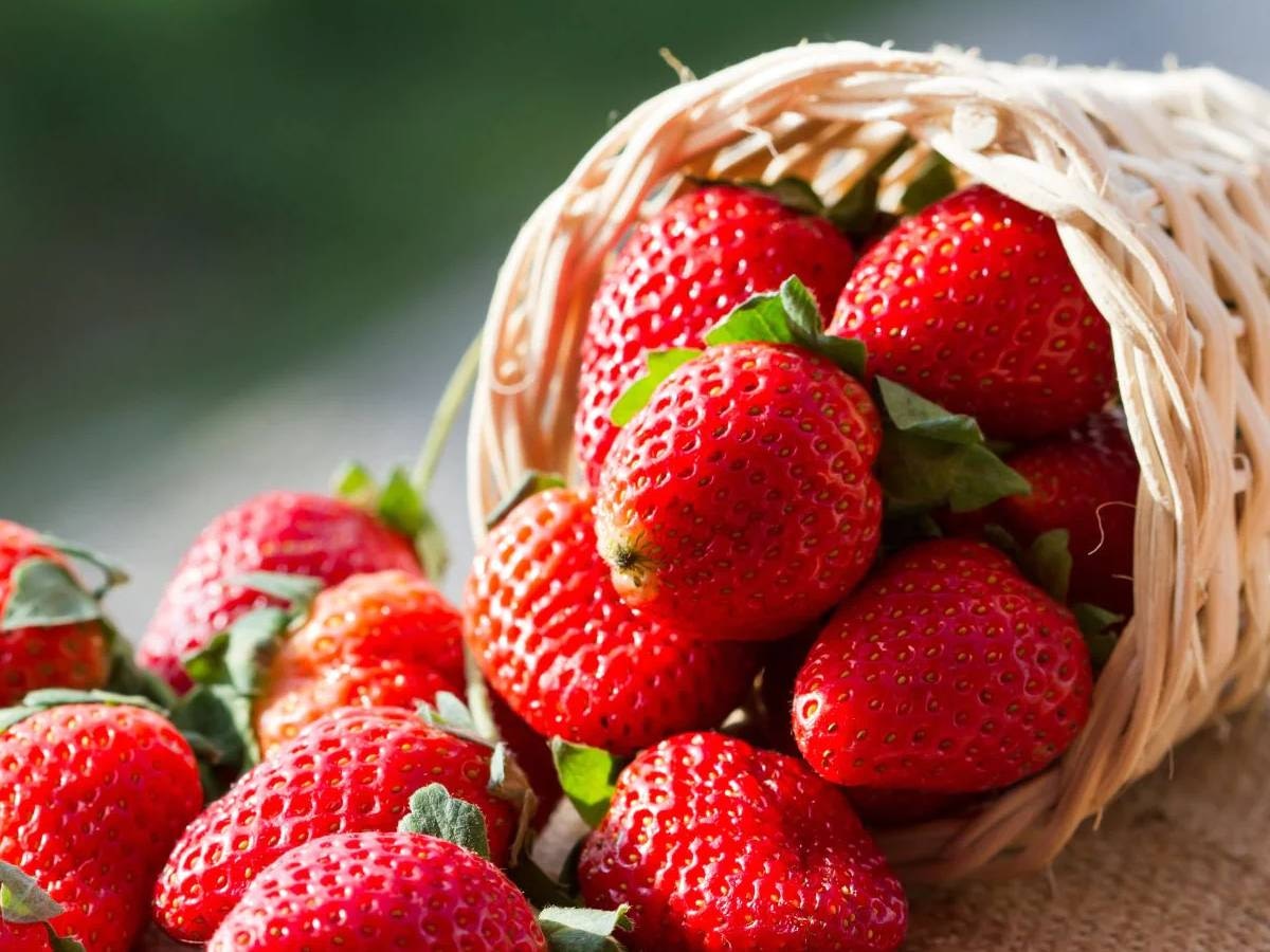 Strawberry Benefits: स्ट्रॉबेरी के सेवन से इन बीमारियों को कर सकते हैं छुमतर
