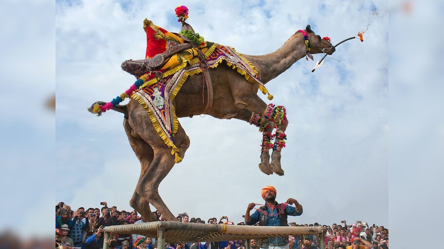 Rajasthan News: अंतरराष्ट्रीय ऊंट महोत्सव की हुई शुरूआत; जश्न में डूबे विदेशी सैलानी