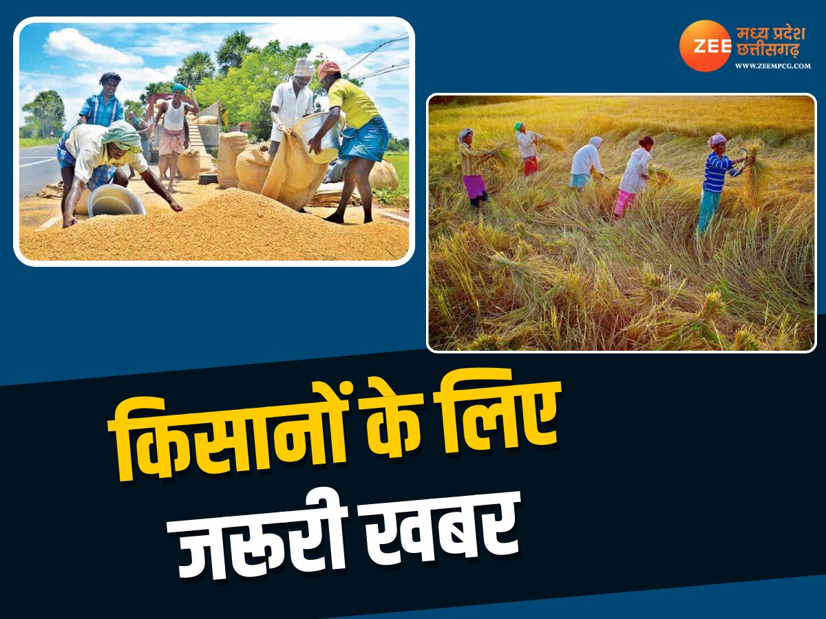 Chhattisgarh के किसानों के लिए बड़ी खबर, धान खरीदी को लेकर बड़ा अपडेट आया सामने 