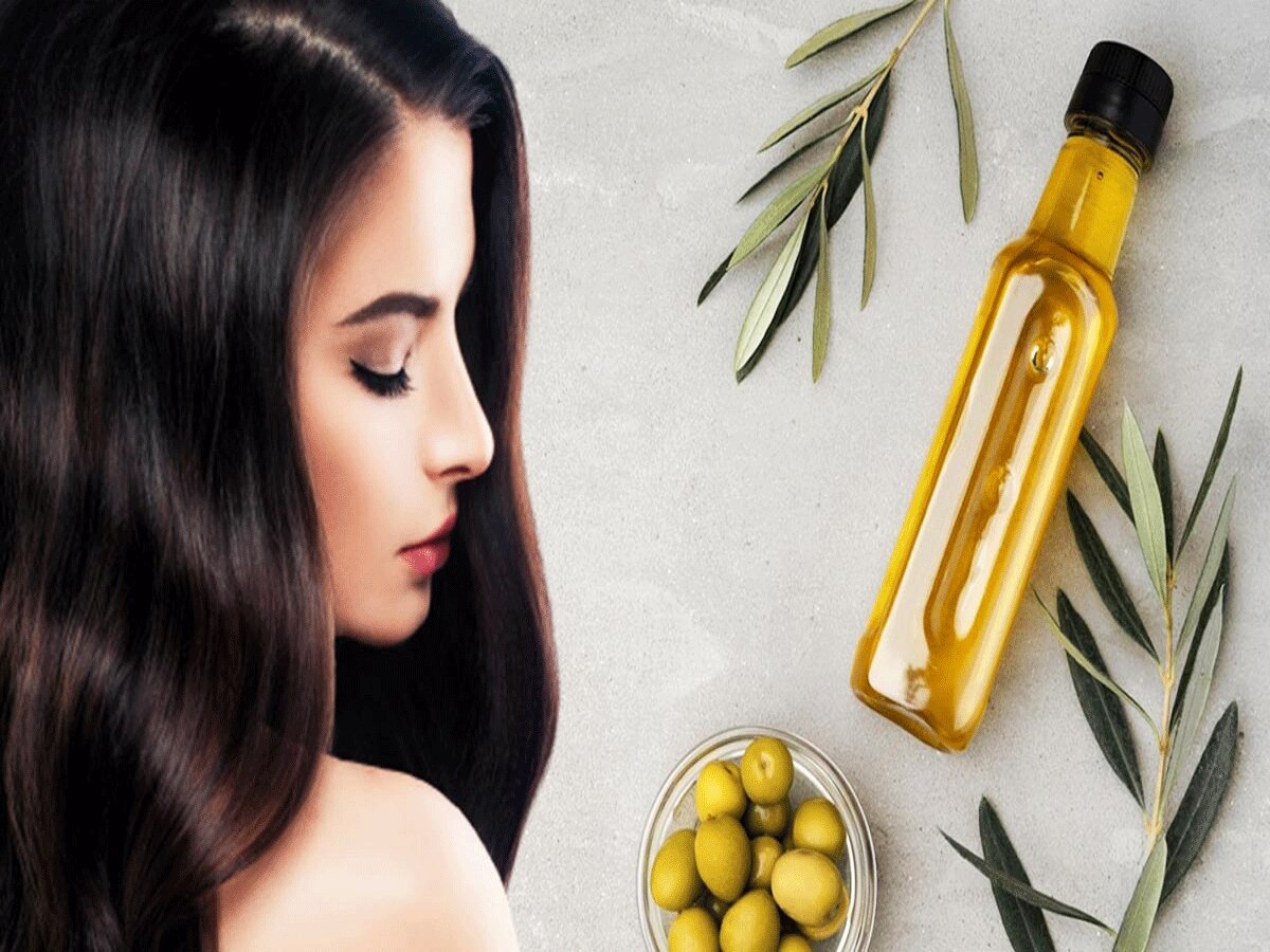 Olive Oil for Hair: जैतून का तेल बालों की इन 4 समस्या को करता है हमेशा के लिए दूर, ऐसे करें इस्तेमाल