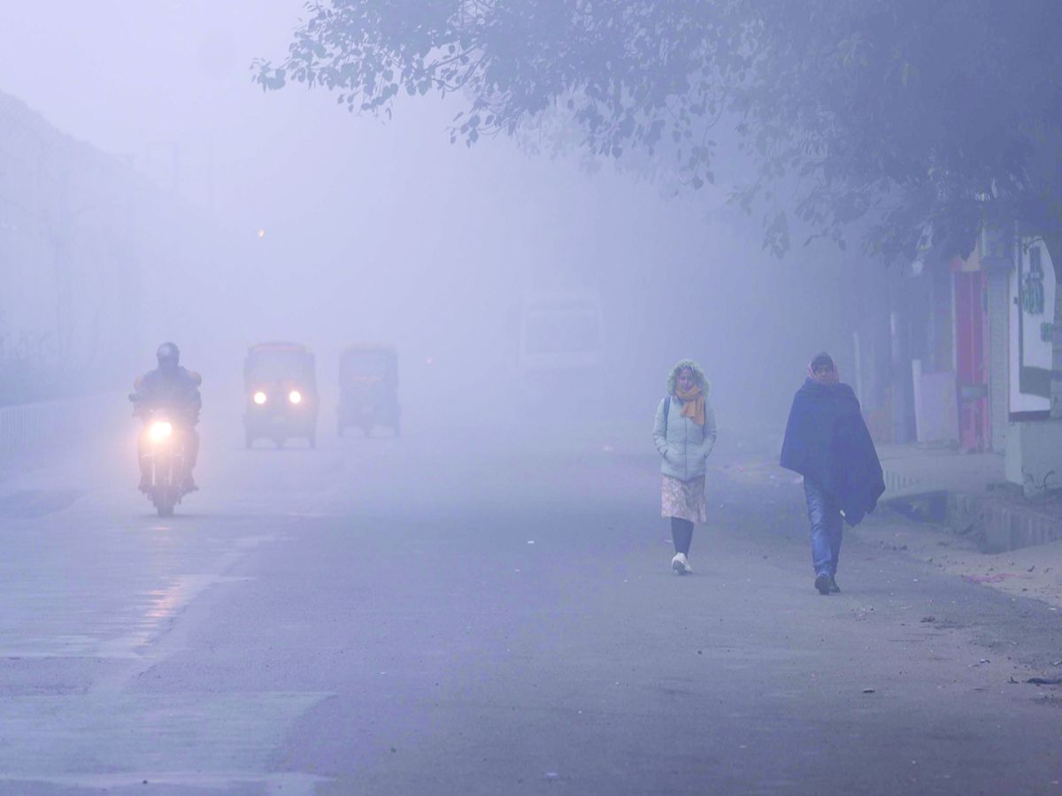 IMD ने जारी किया अलर्ट; इन राज्यों में 15 जनवरी तक शीत लहर की चेतावनी IMD ने जारी किया अलर्ट; इन राज्यों में 15 जनवरी तक शीत लहर की चेतावनी