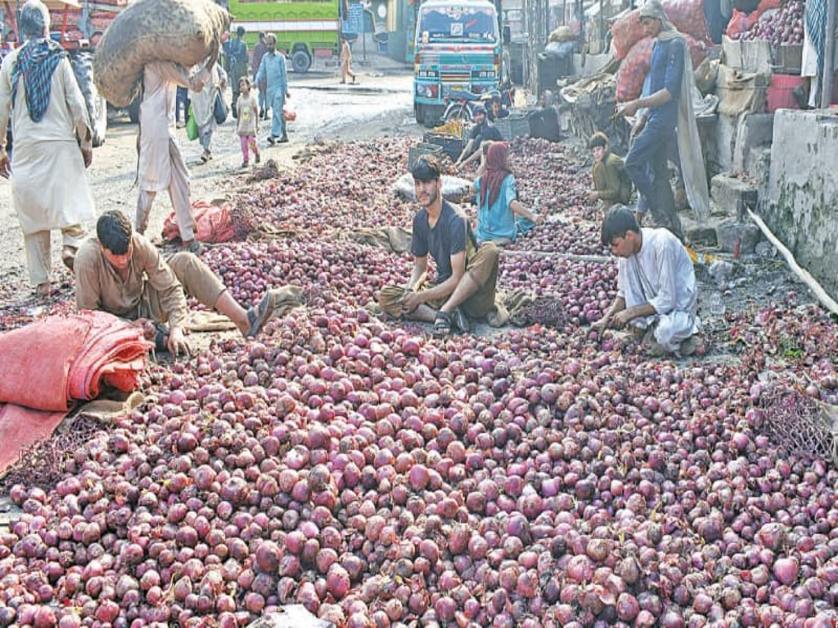 Pakistan Onion Price: ଗୋଟିଏ ଭୁଲ ପାଇଁ ଦେଶରେ ସୃଷ୍ଟି ହେଲା ହାହାକାର; ଜାଣନ୍ତୁ କିପରି ଦେଶବାସୀଙ୍କୁ କନ୍ଦାଉଛି ପିଆଜ Pakistan Onion Price: ଗୋଟିଏ ଭୁଲ ପାଇଁ ଦେଶରେ ସୃଷ୍ଟି ହେଲା ହାହାକାର; ଜାଣନ୍ତୁ କିପରି ଦେଶବାସୀଙ୍କୁ କନ୍ଦାଉଛି ପିଆଜ