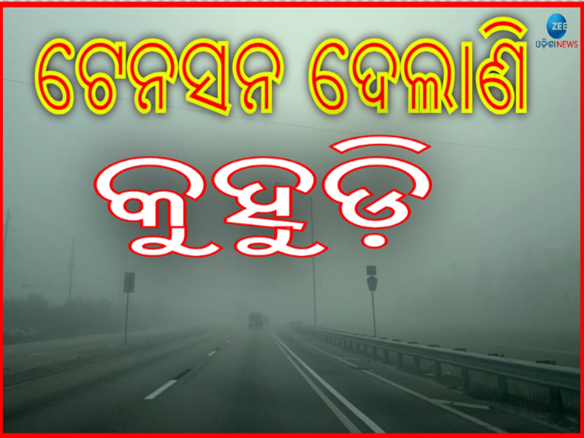 Weather Update: ପ୍ରବଳ ଥଣ୍ଡା କରୁଛି କଲବଲ, ଦିଲ୍ଲୀରେ କୁହୁଡିର ବହଳ ଆସ୍ତରଣ 