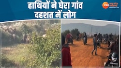 VIDEO: हाथियों ने मचाया आतंक, दहशत में आए लोग, देखें वीडियो