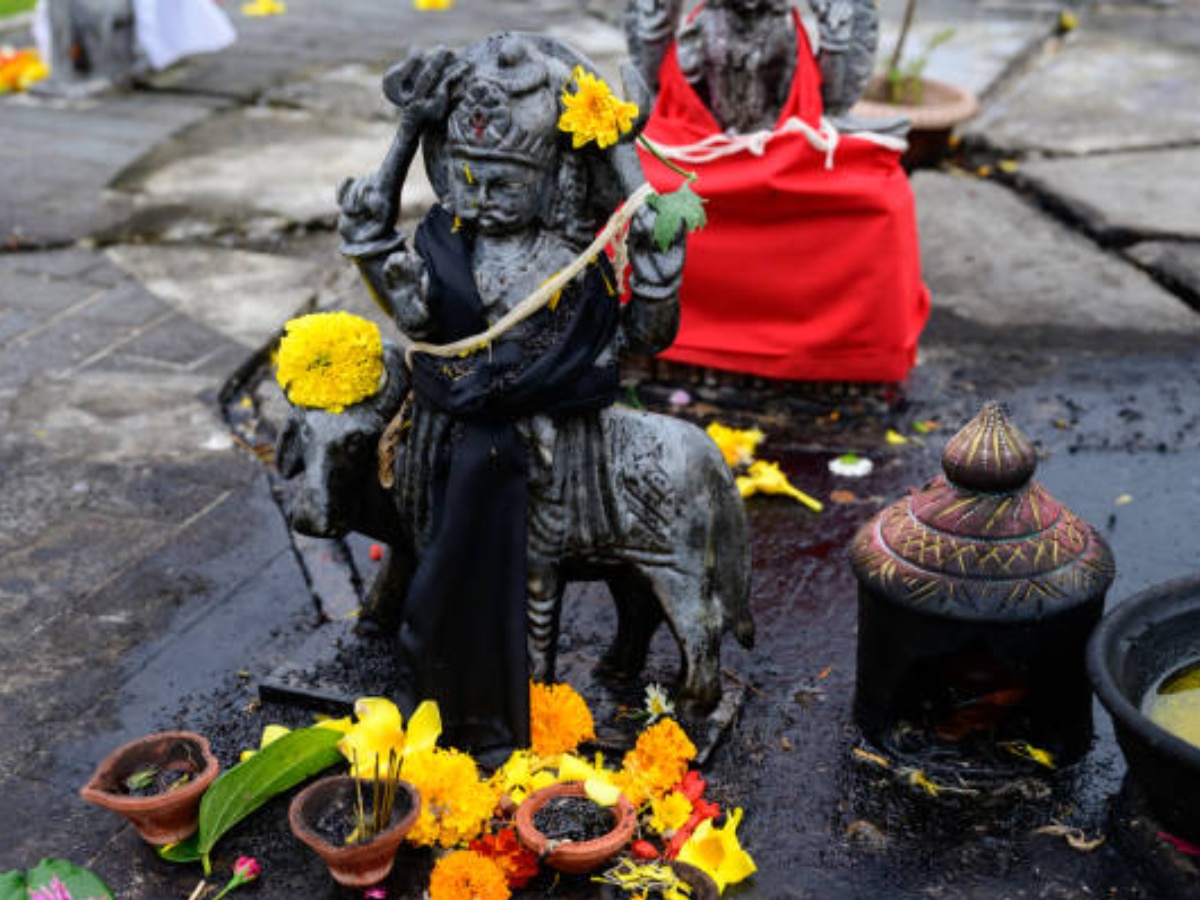 Seeing Black Dog In Dream Is Good News From Bhairav Baba Know What 