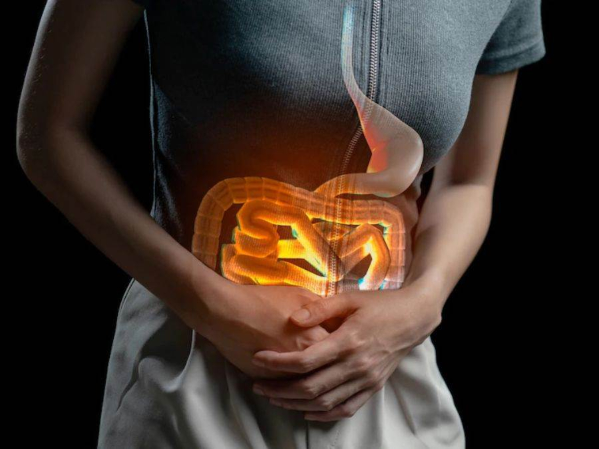 पाचन तंत्र