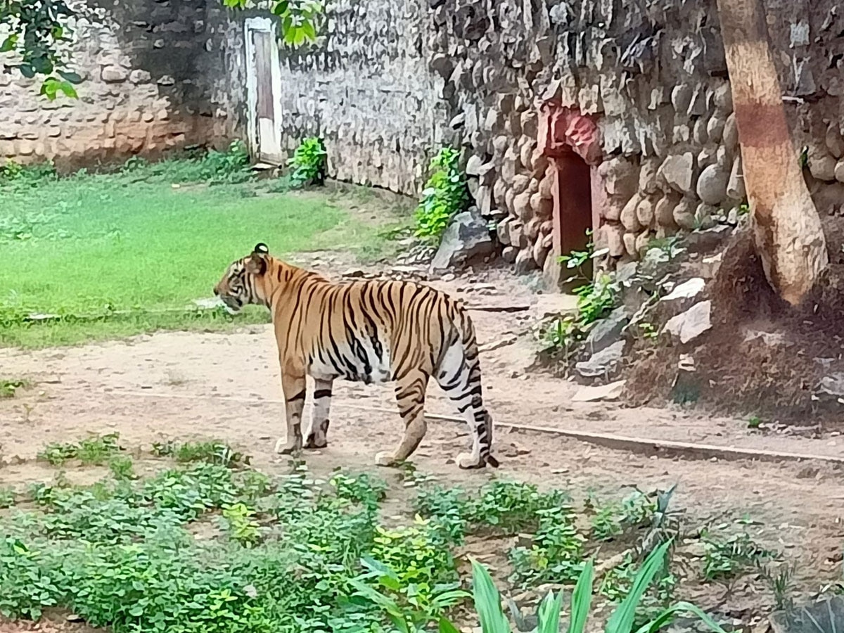 ग्वालियर का चिड़ियाघर