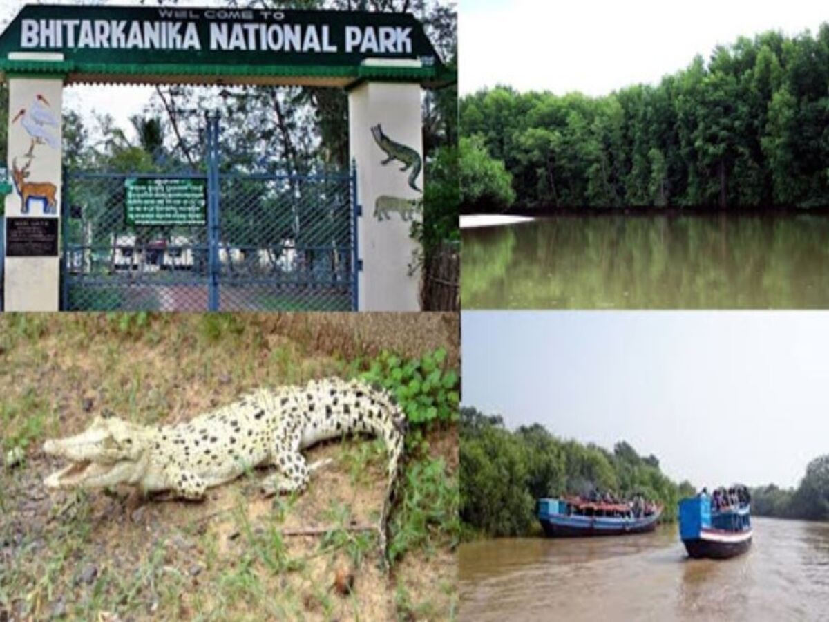 Bhitarkanika National Park: ରେଳ ପଥରେ ସଂଯୋଗ ଭିତରକନିକା ଜାତୀୟ ଉଦ୍ୟାନ