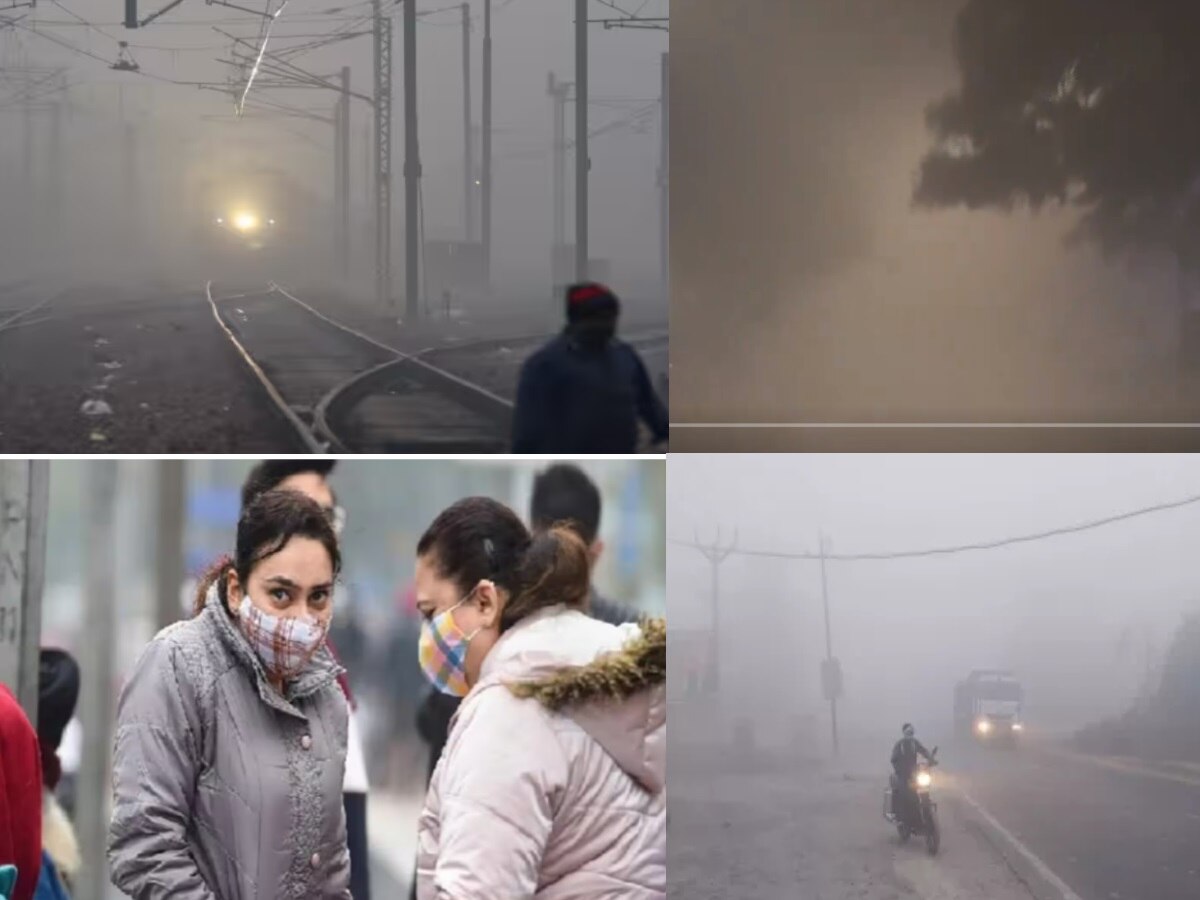 UP Weather Today: पूरा यूपी कोहरे में लिपटा, हाड़ कंपा रही शीतलहर, मेरठ में तीन डिग्री सेल्सियस से नीचे गिरा पारा 