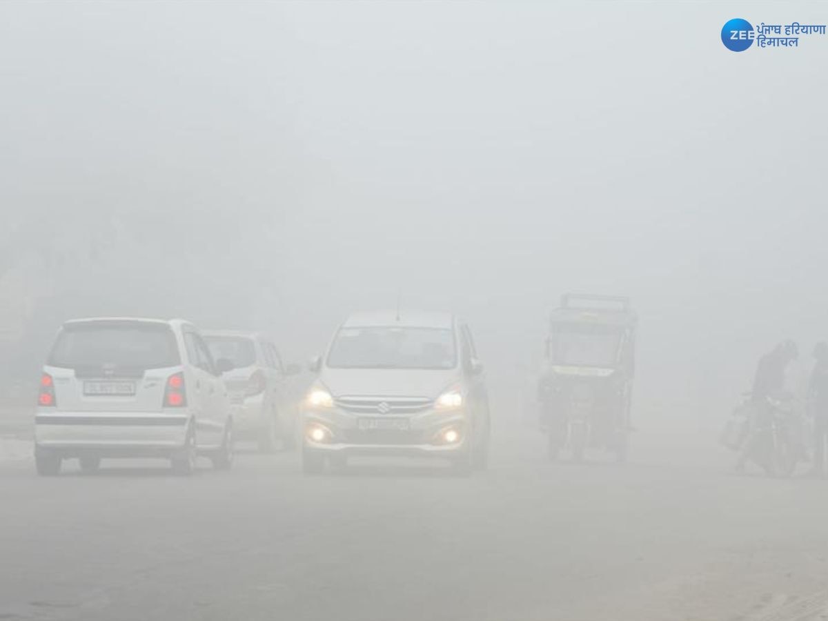 Punjab Weather News: ਸੰਘਣੀ ਧੁੰਦ ਤੇ ਕੜਾਕੇ ਦੀ ਠੰਢ ਨੇ ਪੰਜਾਬ 'ਚ ਛੇੜੀ ਕੰਬਣੀ, ਆਵਾਜਾਈ ਪ੍ਰਭਾਵਿਤ