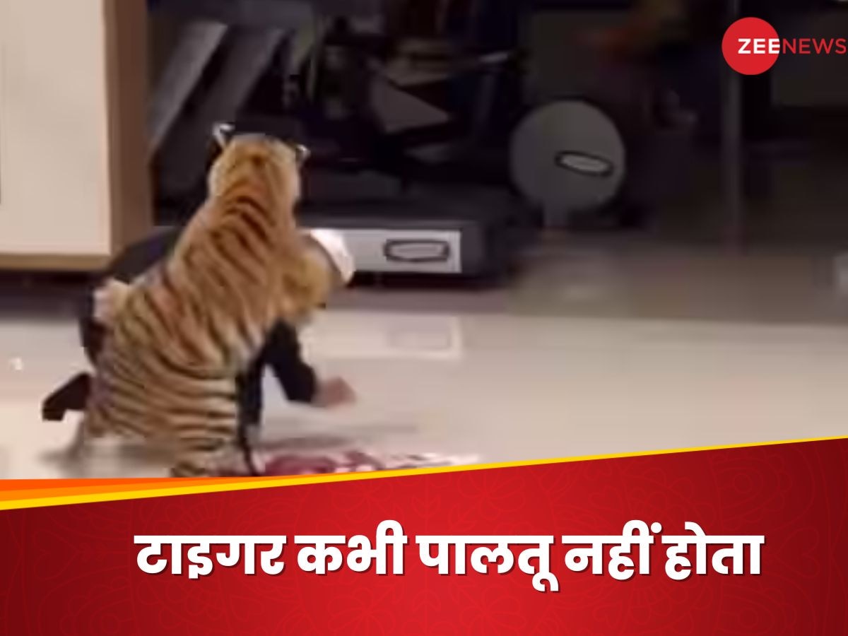 Tiger Attack: अब घर में कौन पालता है टाइगर,इस शख्स को जान बचाने के पड़े लाले; यूजर बोले-आग से खेलोगे तो हाथ जलेगा ही