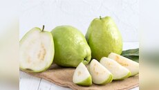 अमरूद कर सकता है सर्दी और खांसी को दूर करने में मदद! जानें और भी फायदे