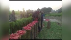 Jhajjar news: अच्छी खेती और उन्नत किसानी के चलते किसानों ने कमाया लाखों का लाभ