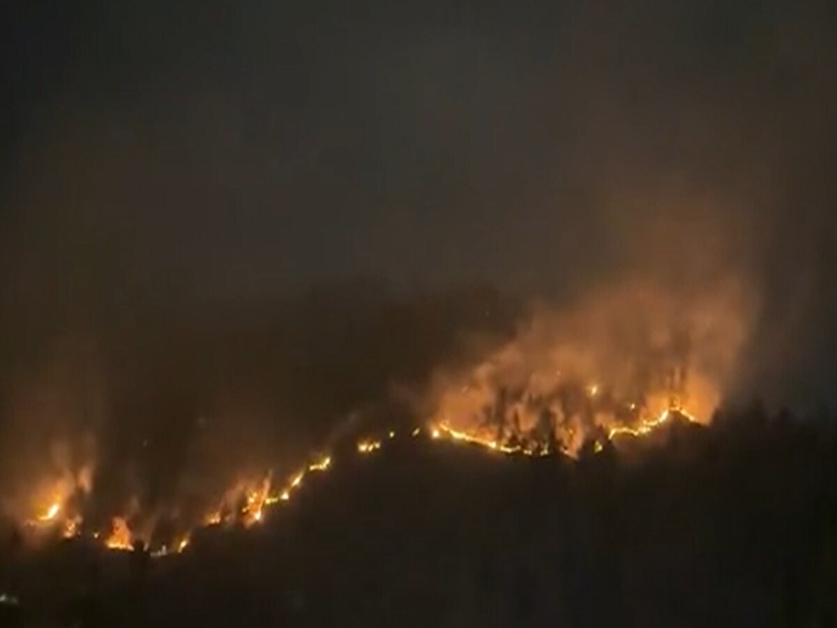 कुल्लू में ढाई माह में 62 आगजनी की घटनाएं आईं सामने, 139 हेक्टेयर में पेड़ जलकर राख!