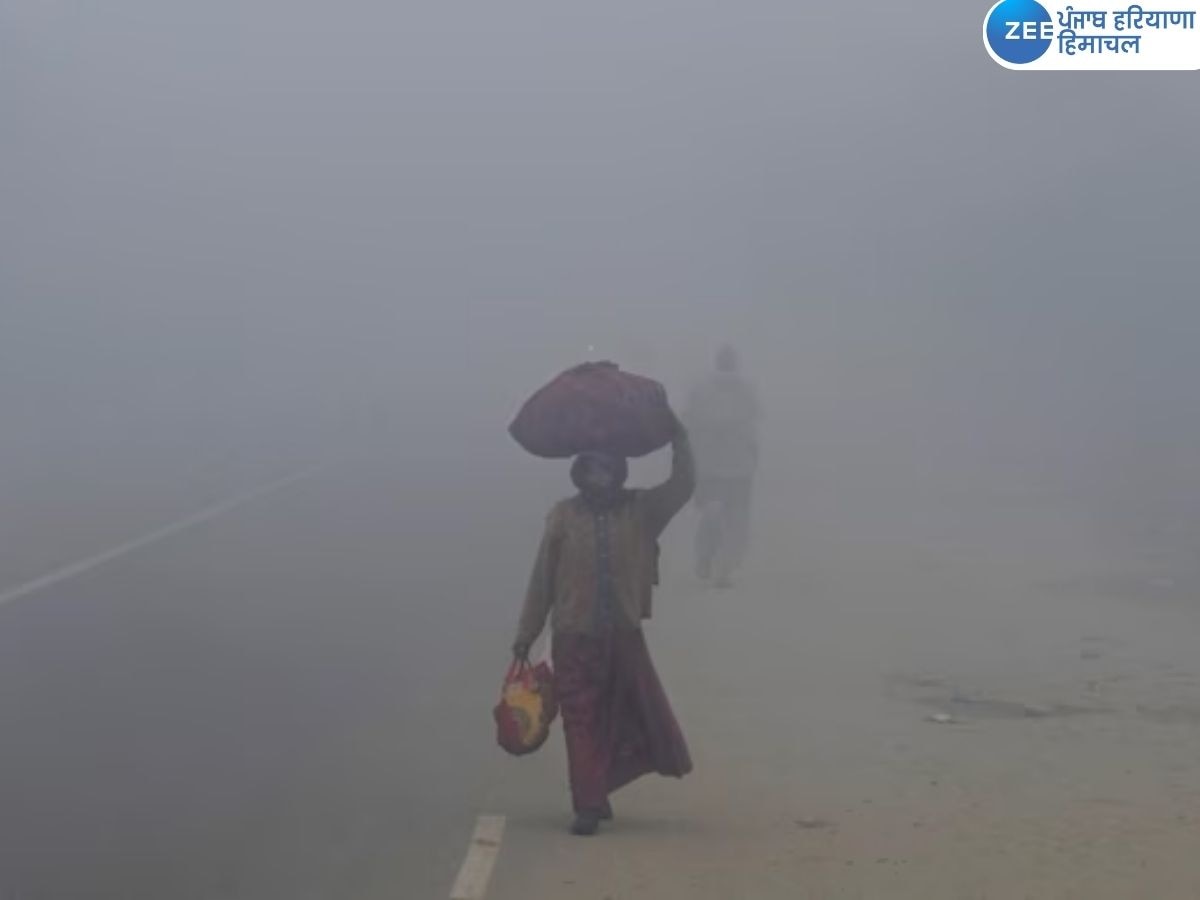 Punjab Weather Update: ਪੰਜਾਬ 'ਚ ਠੰਡ ਨੇ ਠਾਰੇ ਲੋਕ, ਸੱਤ ਜ਼ਿਲ੍ਹਿਆਂ ਵਿੱਚ ਧੁੰਦ ਦਾ ਰੈੱਡ ਅਲਰਟ